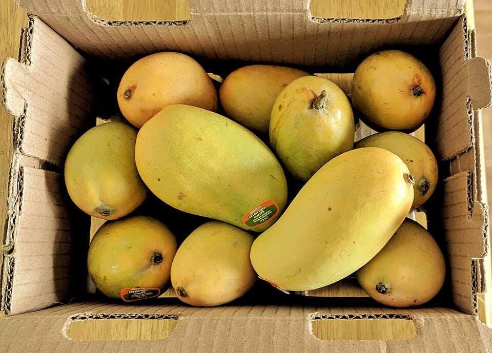 Multani White Chounsa Export Quality