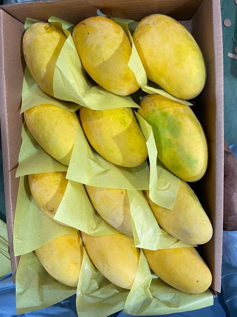 Multani White Chounsa Export Quality