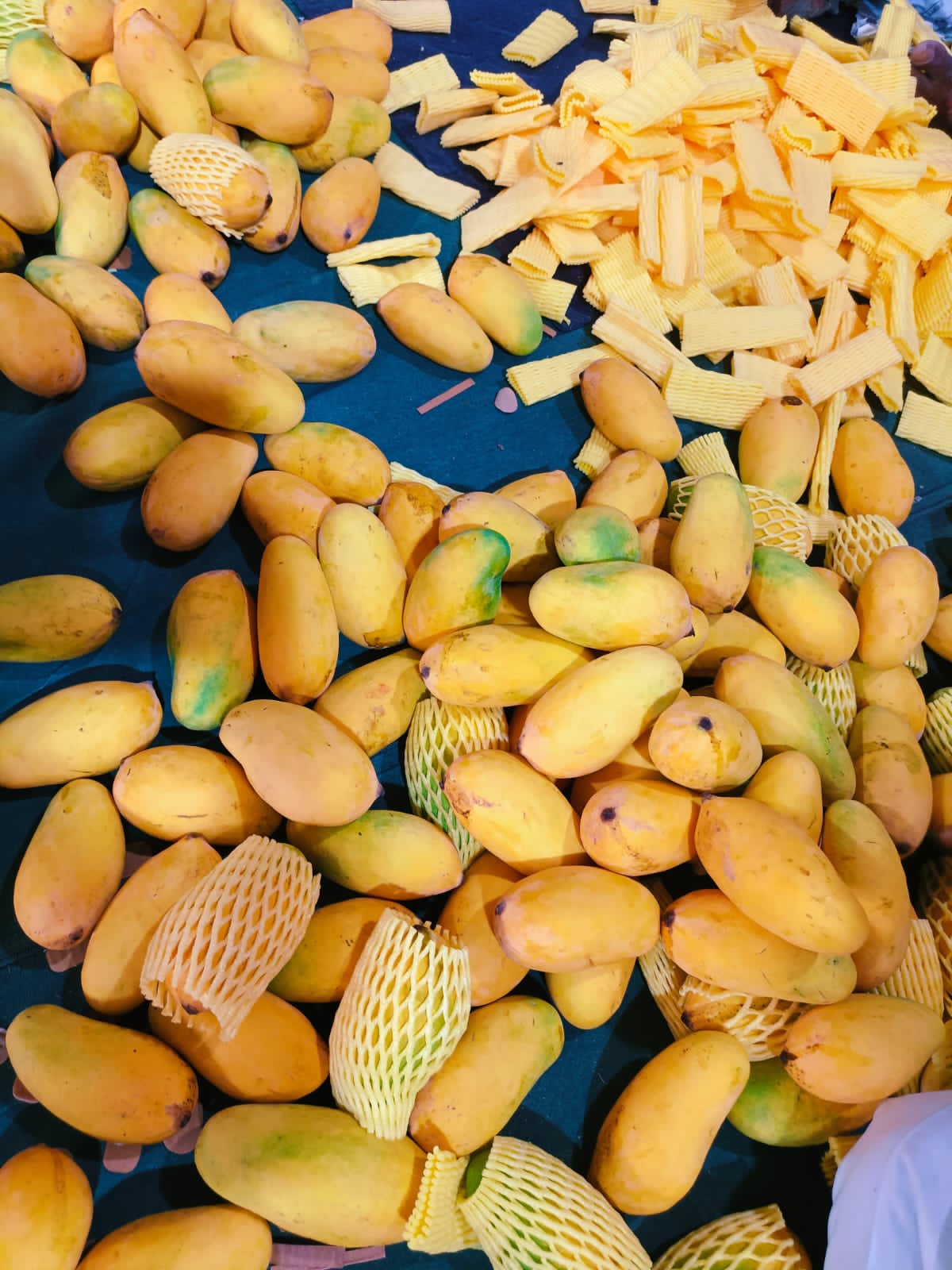 Multani White Chounsa Export Quality