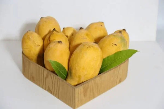 Multani White Chounsa Export Quality